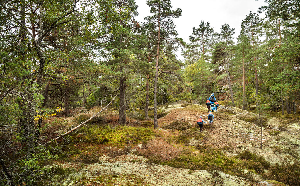 Fjällräven Räven Mini - Image 2