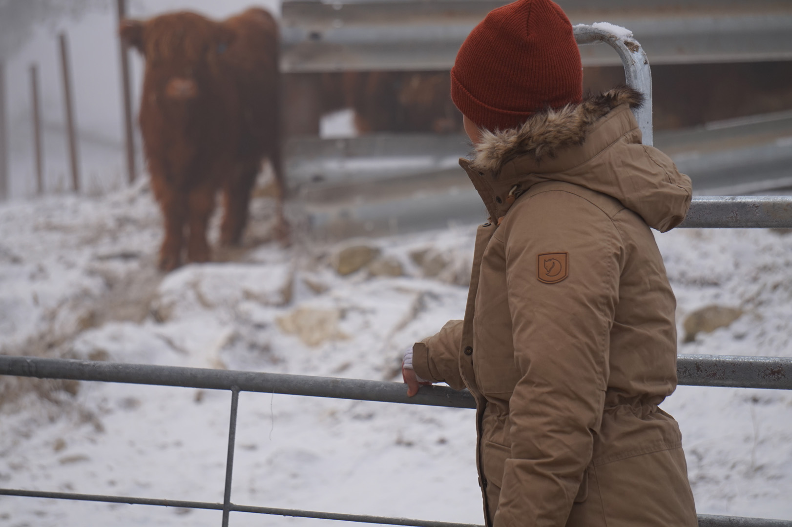 Fjällräven Singi Down Jakke Dame - Image 8