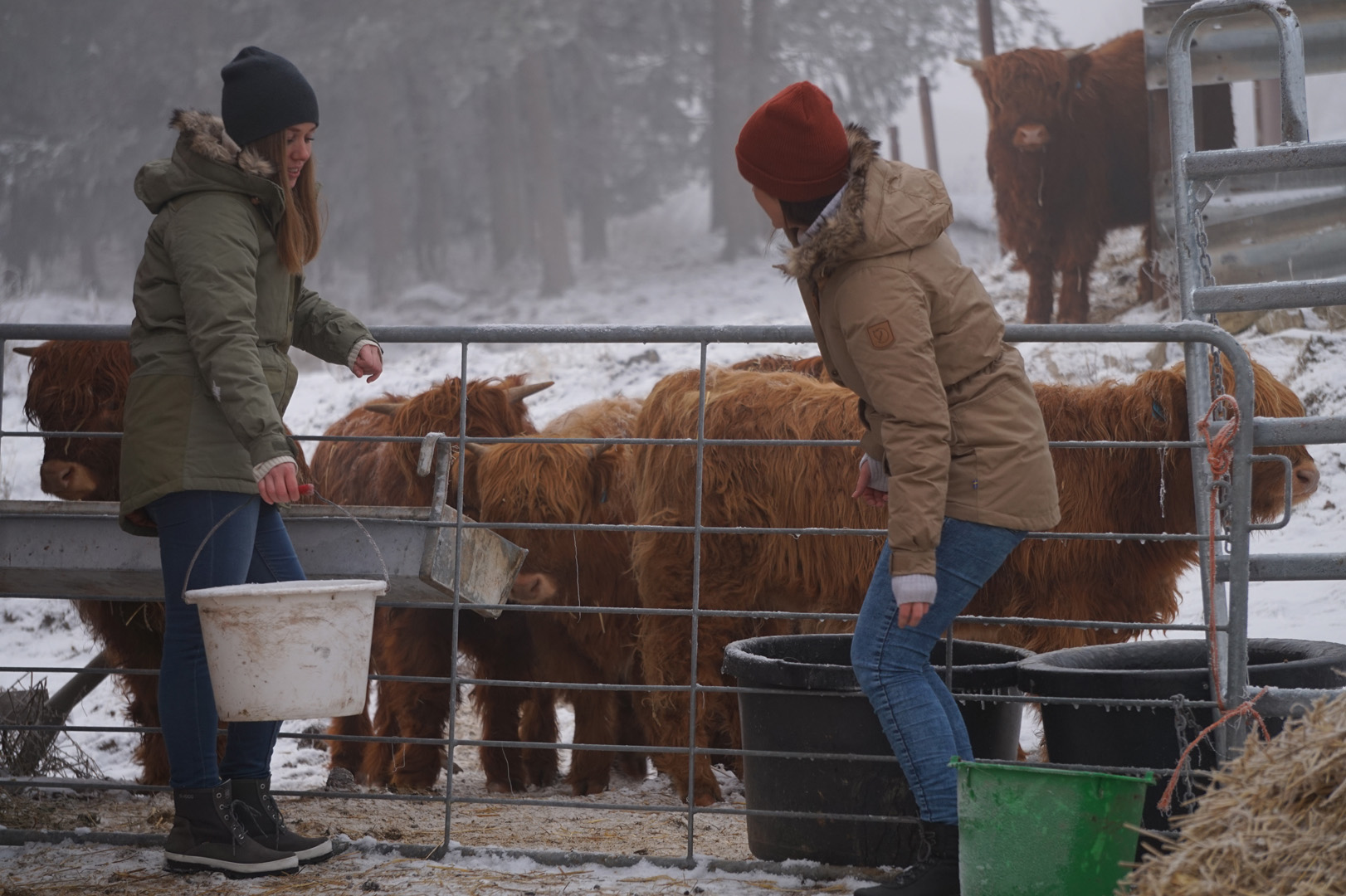 Fjällräven Singi Down Jakke Dame - Image 7